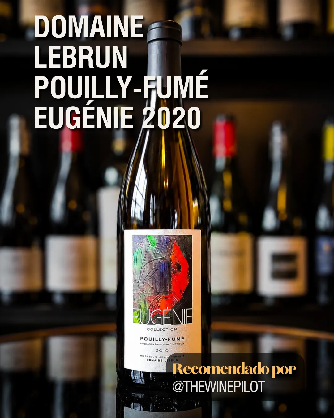 Botella de Domaine Lebrun Pouilly-Fumé Eugénie 2020 sobre fondo oscuro con estanterías, recomendada por The Wine Pilot